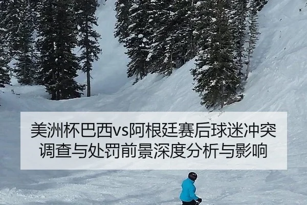 美洲杯巴西vs阿根廷赛后球迷冲突调查与处罚前景深度分析与影响